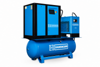 Винтовой компрессор Hansmann RSE 22-16-500 DR
